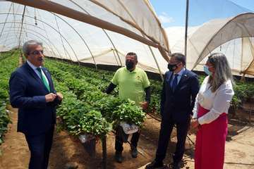 El vicepresidente del Gobierno de Canarias visita el municipio de Valsequillo/Acfi Press.